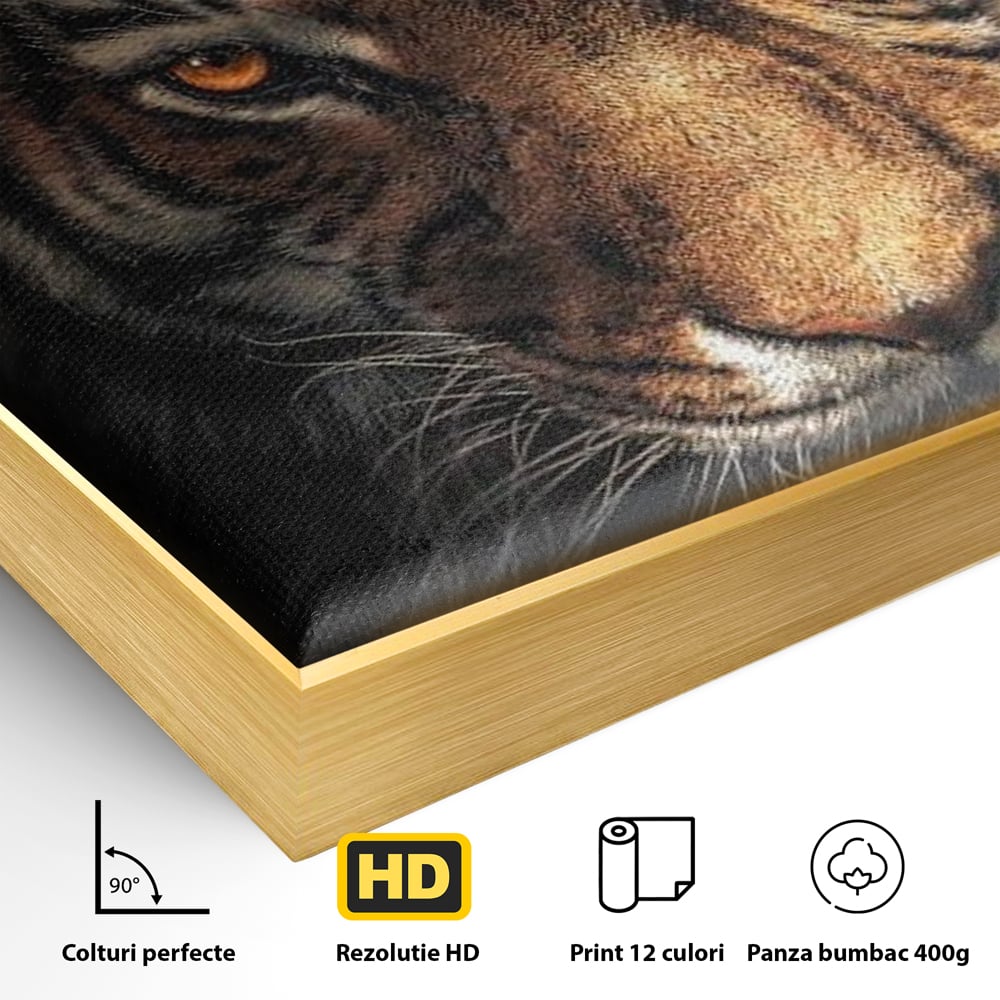 Detaliu al suprafetei: tablou canvas cu cap de tigru si scantei, in rama de aluminiu auriu